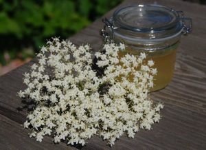 Gelé lavet på hyldeblomstsaft