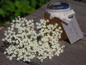 Hyldeblomstgelé er nemt at lave