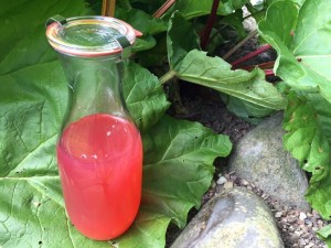 Rabarber omsat til saft