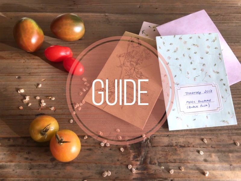Guide til at lave dine egne tomatfrø