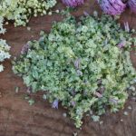 Hyldeblomstsalt med purløg