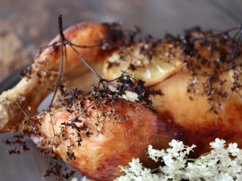 Hyldeblomstmarineret kylling – helstegt kylling i ovn
