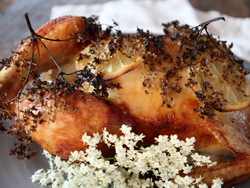 Hyldeblomstmarineret kylling – helstegt kylling i ovn
