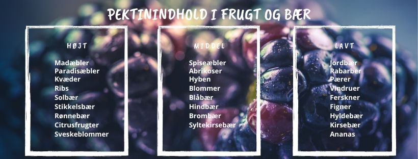 Pektinindhold i frugt og bær