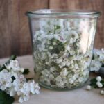 Hvidtjørneblomstersnaps