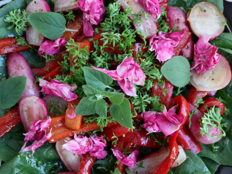 Grøn og rød salat med spinat