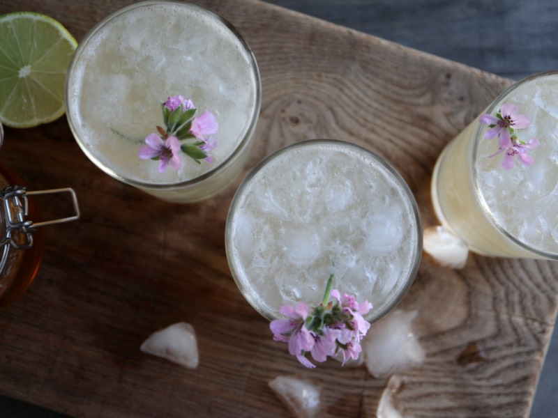 Cocktail med rosengeraniumsnaps, citron og ginger ale