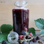 Hjemmelavet brombærbalsamico