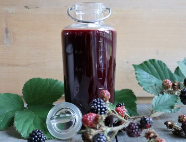 Hjemmelavet brombærbalsamico