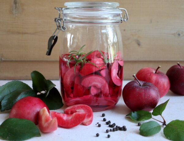 Hjemmelavet æblesnaps med rosmarin og peberkorn