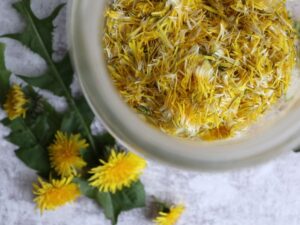 Gule mælkebøtteblomster
