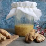 Ginger bug