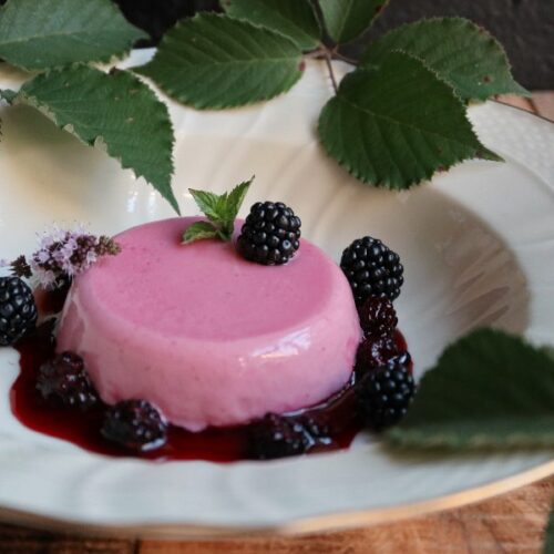 Panna cotta med brombær