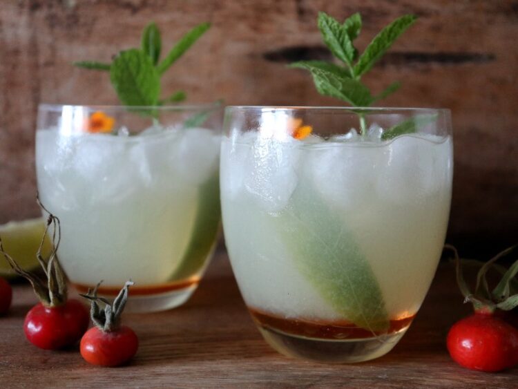 Hyben Gin Hass Opskrift på lækker drink med hybensirup