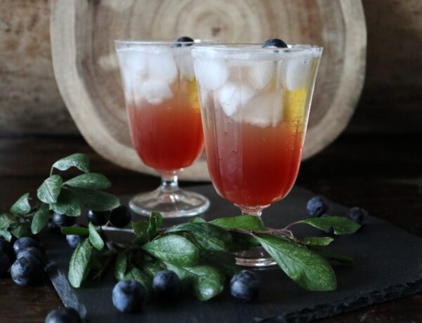 Sloe Gin Fizz – cocktail med slåengin