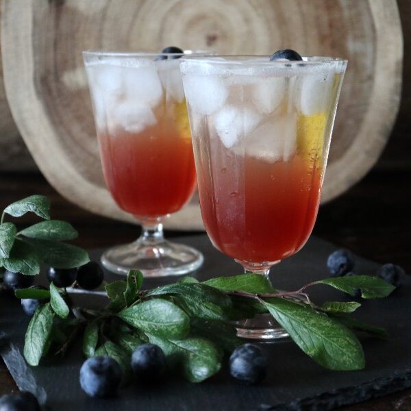 Sloe Gin Fizz Opskrift på cocktail med slåengin