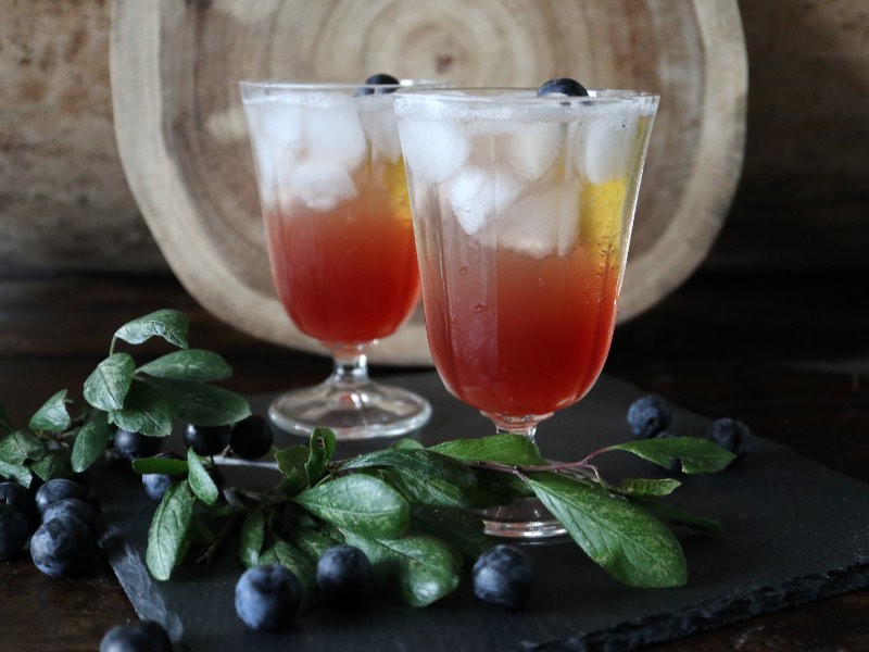 Sloe Gin Fizz – cocktail med slåengin